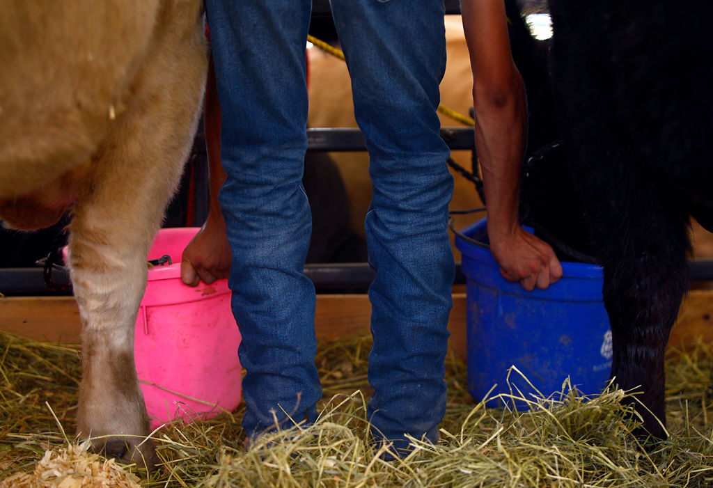 Colton Isgrig gives cows some water